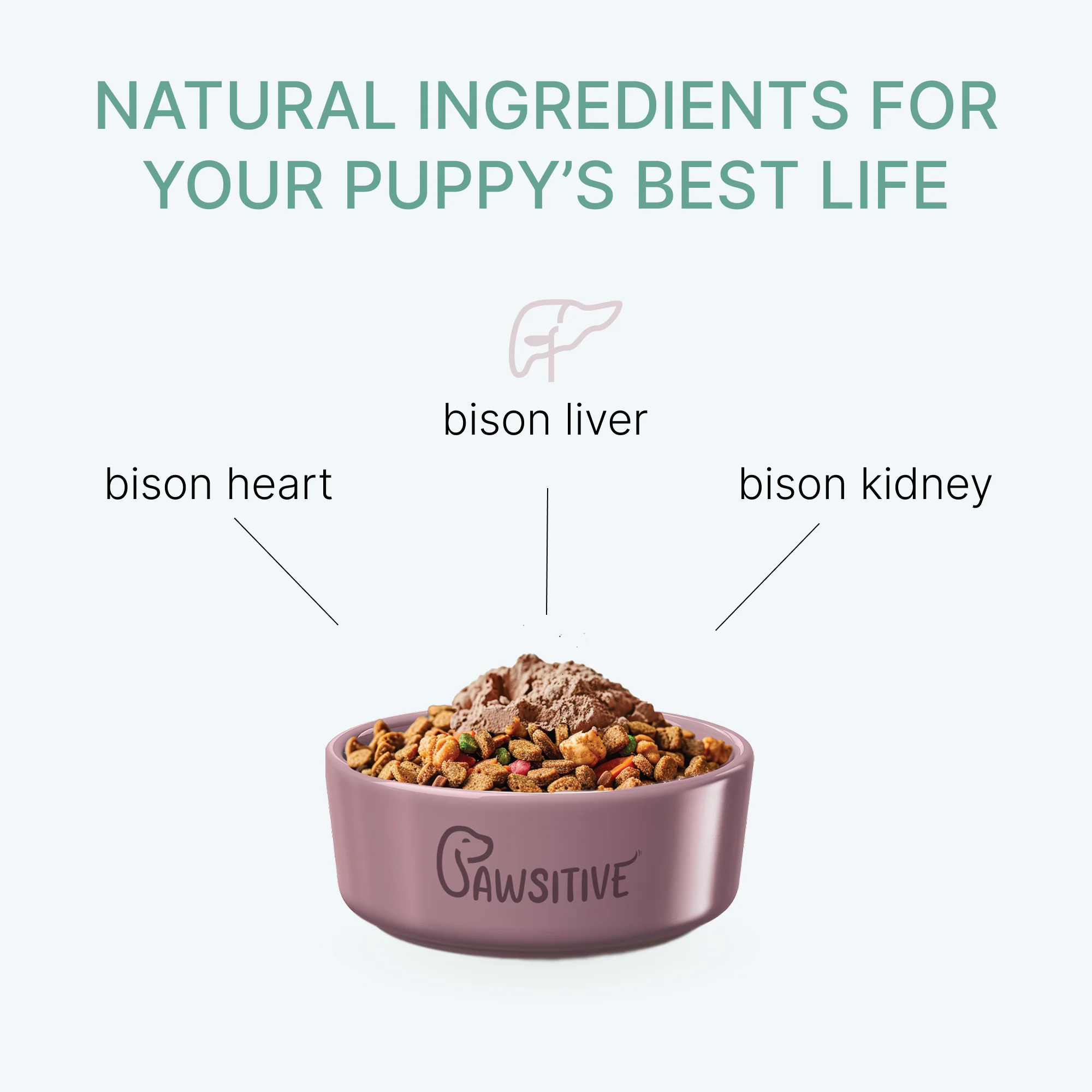 Pawsitive Bison Nutritional Topper - Image 3