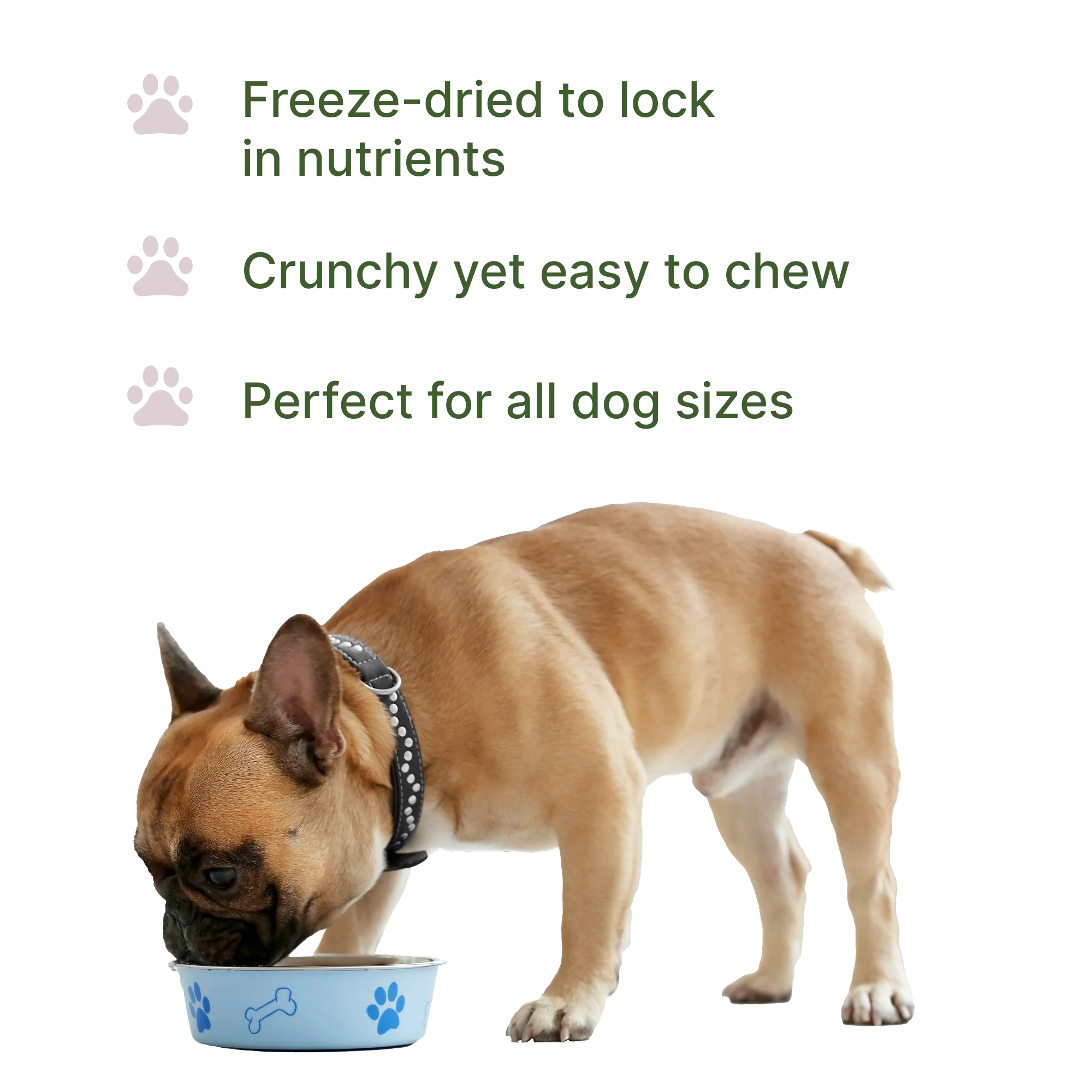 Pawsitive Bison Nutritional Topper - Image 4