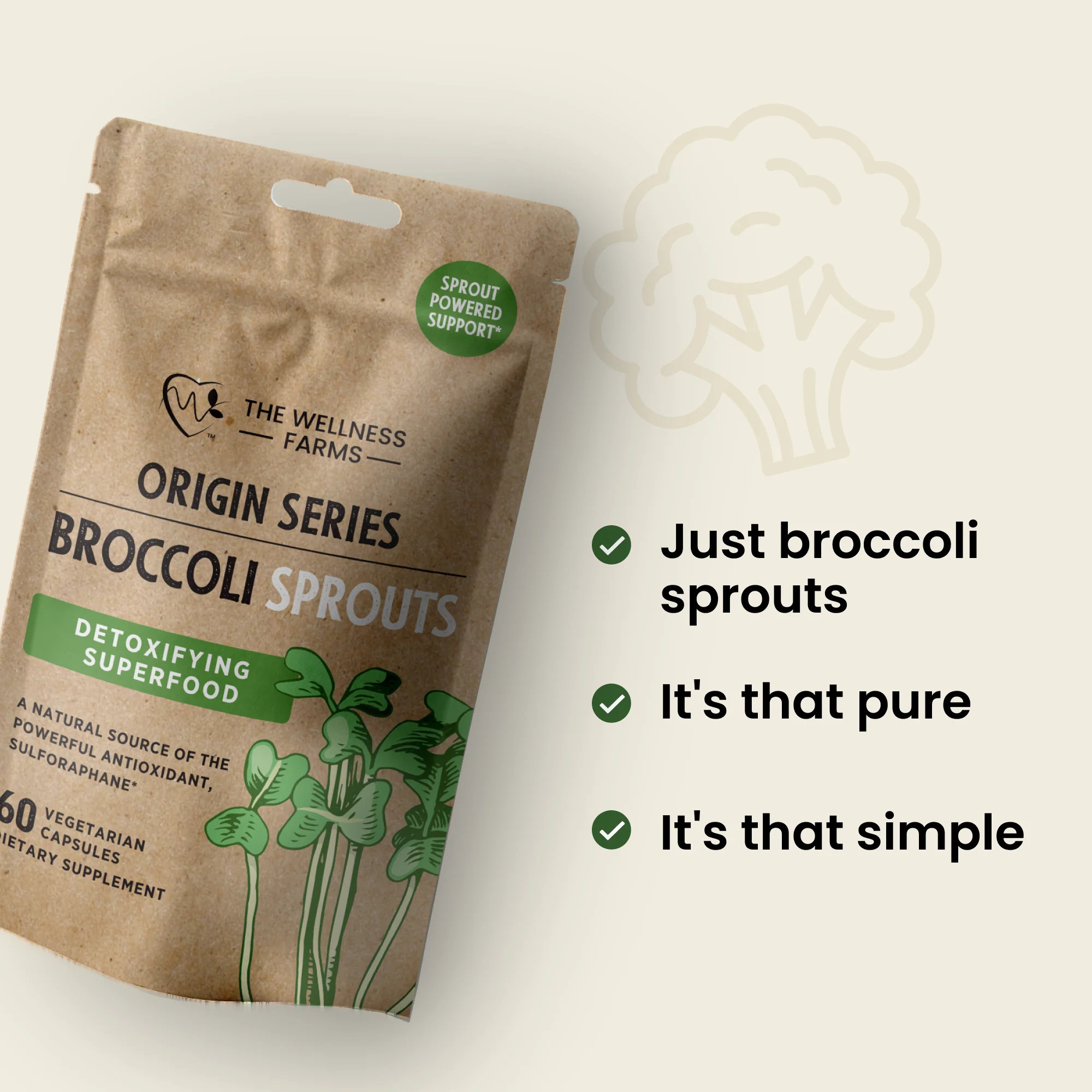 Broccoli Sprouts - Image 2