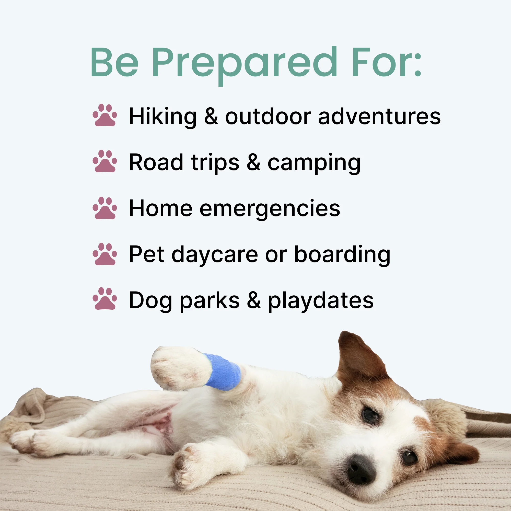 Pawsitive Medical Emergency Kit - Image 3