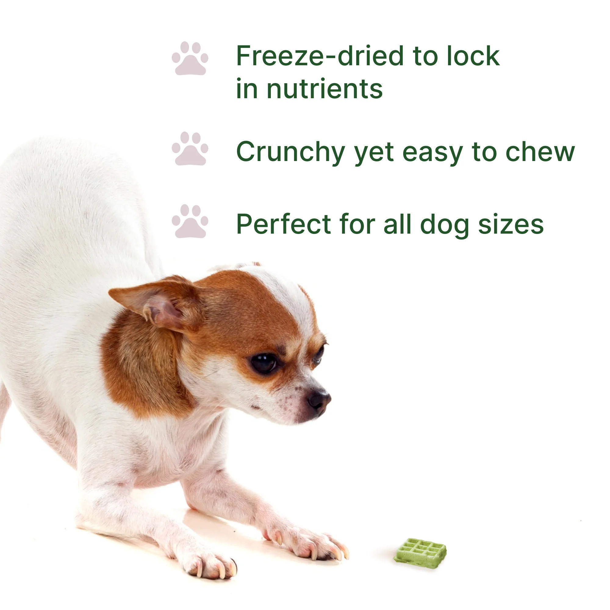 Pawsitive Superfood Waffles - Image 4