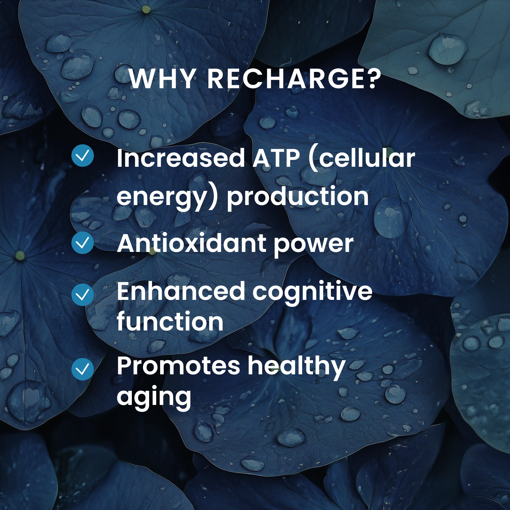 Recharge - Image 2
