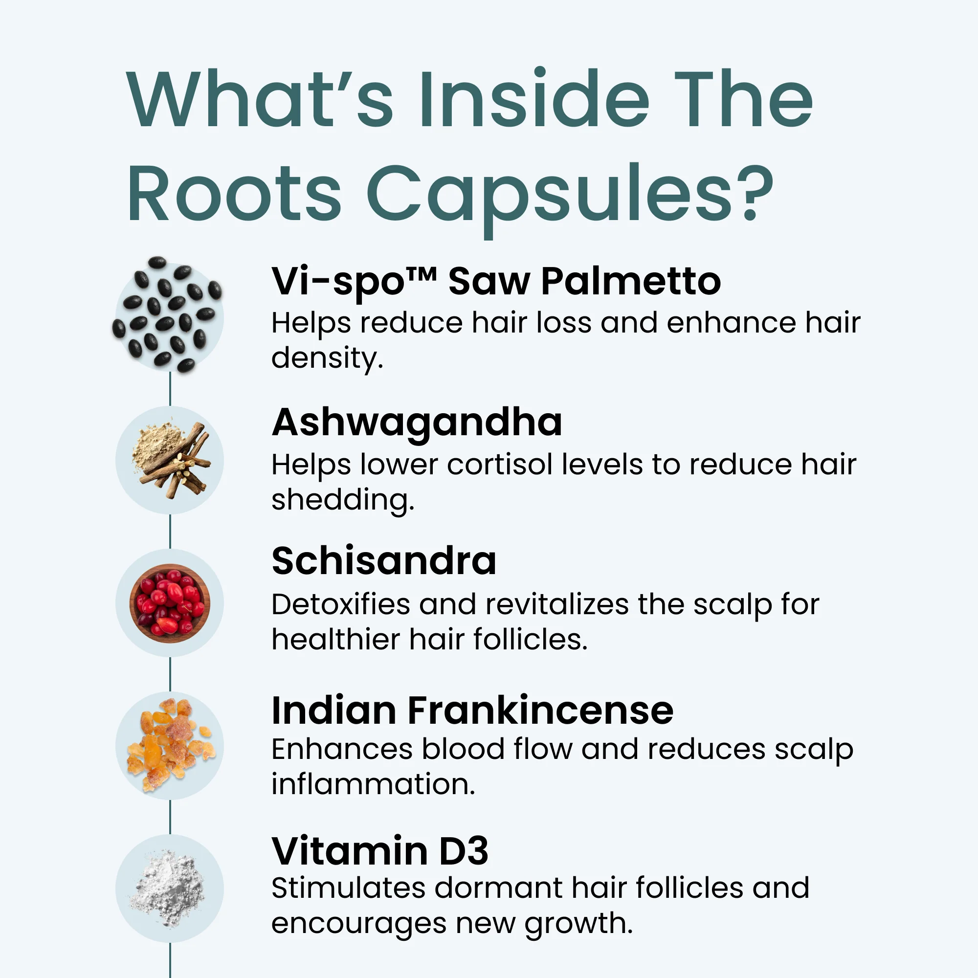 Roots - Image 3