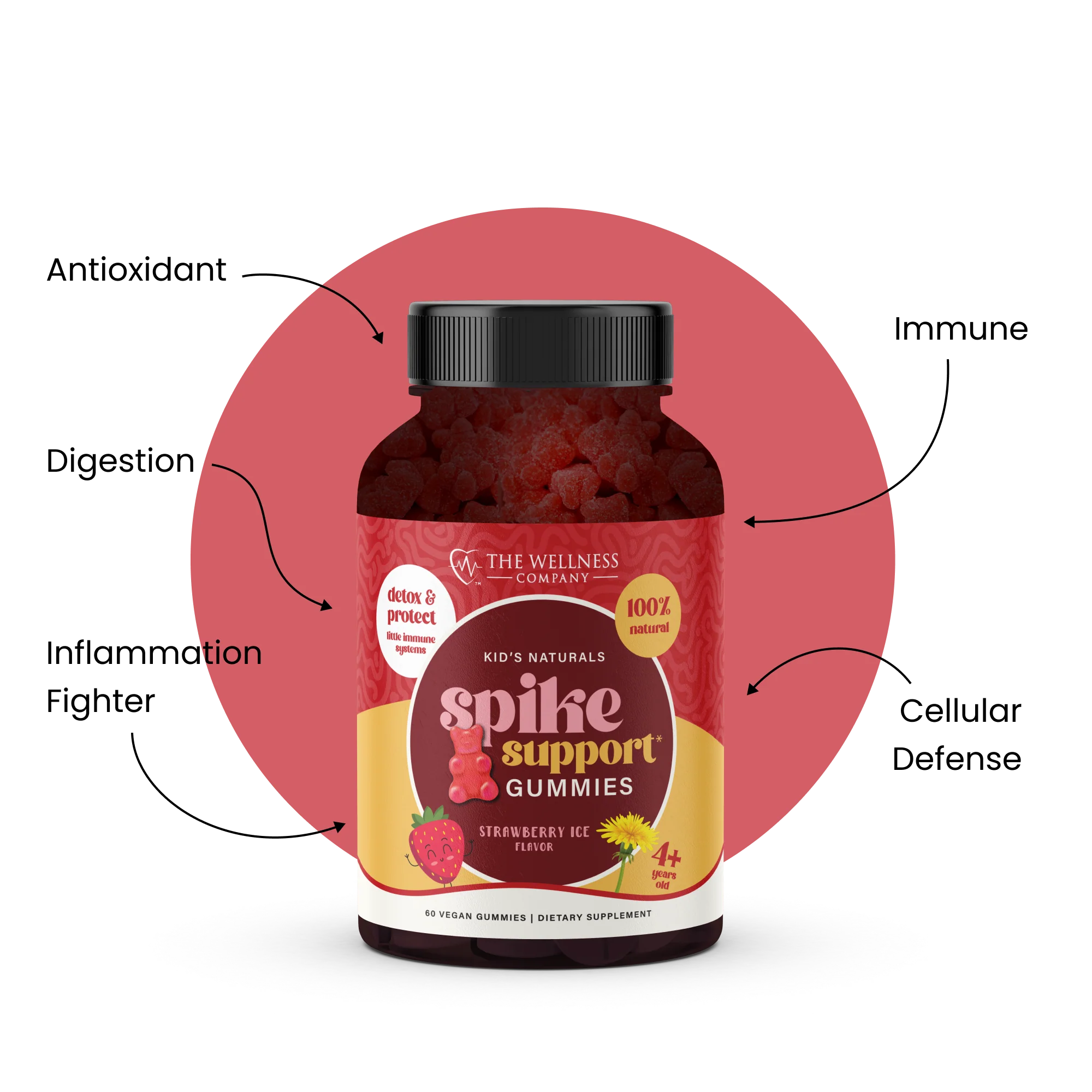 Spike Support Gummies – Español - Image 3